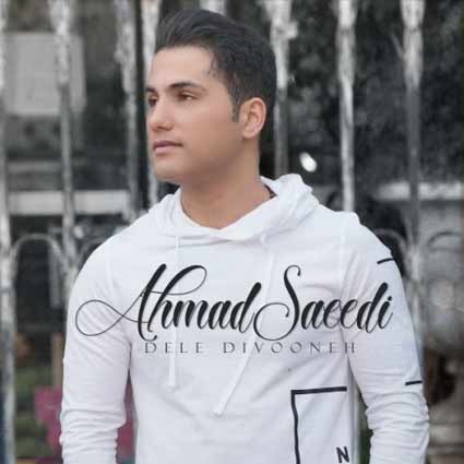 دانلود آهنگ جدید احمد سعیدی دل دیوونه