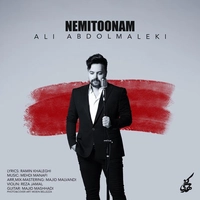 Ali Abdolmaleki Nemitoonam 