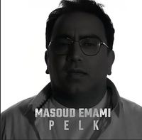 Masoud Emami Pelk 