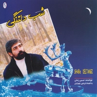 شب دلتنگی