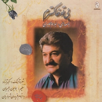 بی تو خاکسترم