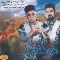 دیدار محمودی کوگ منار