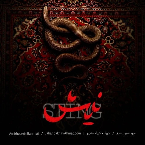 امیر حسین رحمتی