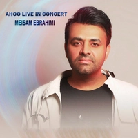 میثم ابراهیمی - آهو ( اجری زنده )