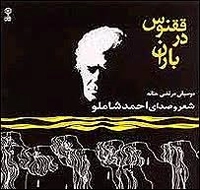 ققنوس در باران
