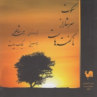 سکوت سرشار از ناگفتته هاست