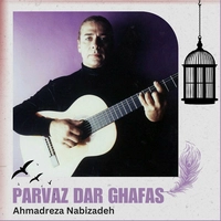 پرواز در قفس