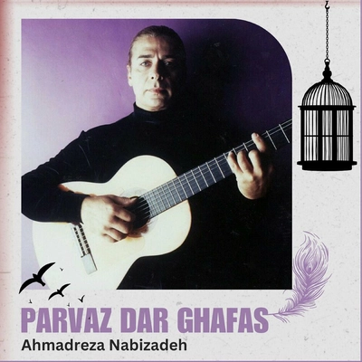آلبوم احمد رضا نبی زاده - پرواز در قفس