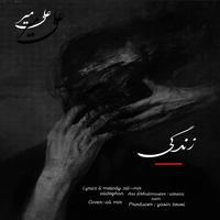 علی میر -  زندگی