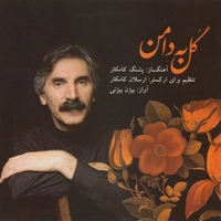 گل به دامن