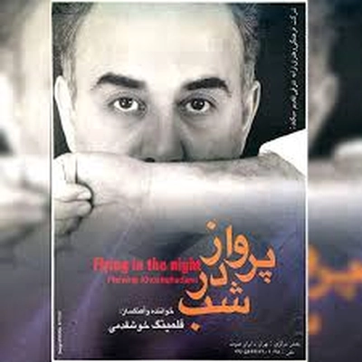 آلبوم فلمینگ خوشقدمی - پرواز در شب