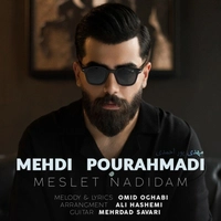 مهدی پور احمدی - مثلت ندیدم