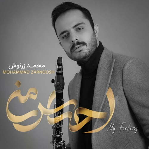 محمد زرنوش