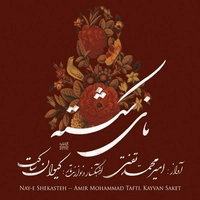نای شکسته