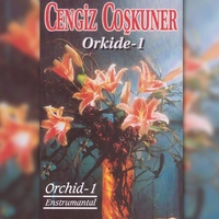 Orkide, Vol. 1