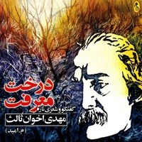 درخت معرفت