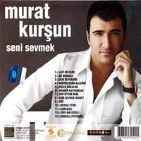 Seni Sevmek