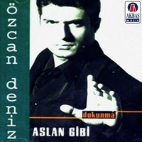 Aslan gibi