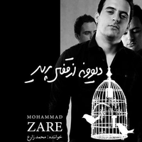 دیوانه از قفس پرید