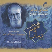 هنر گام زمان