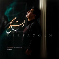 سروش - دلتنگم