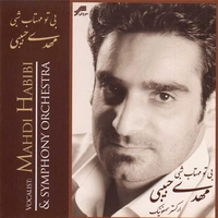 بی تو مهتاب شبی