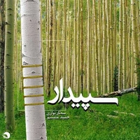 سپیدار