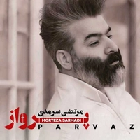 پرواز ( بی کلام )