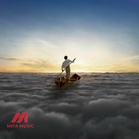 The Endless River
