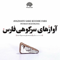 پیمان بزرگ نیا