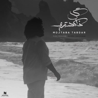 مجتبی تابدار گل خاکستری