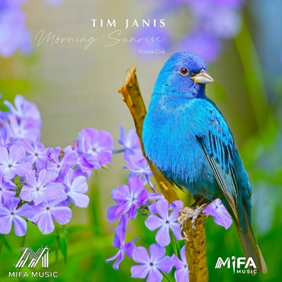 آلبوم تیم جانیس Morning Surise 1