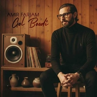 امیر فرجام گل بودی