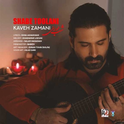 کاوه زمانی شب طولانی