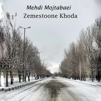 مهدی مجتبایی