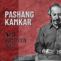 همایون سولو