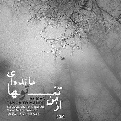 شمس لنگرودی از من تنها تو مانده ای