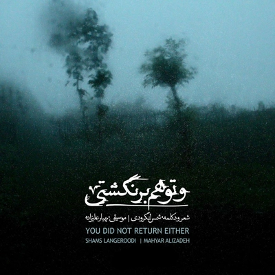 دکلمه شمس لنگرودی و تو هم برنگشتی