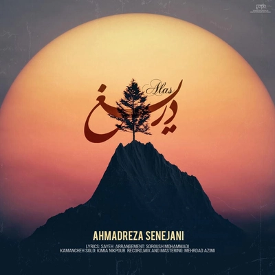 احمد رضا سنجانی دریغ