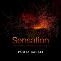 آلبوم پویا سرایی احساس