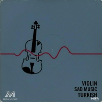 آلبوم ویوید مود فریمز Violin Sad Music Turkish
