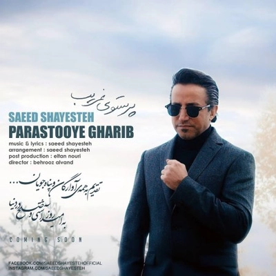 سعید شایسته پرستوی غریب