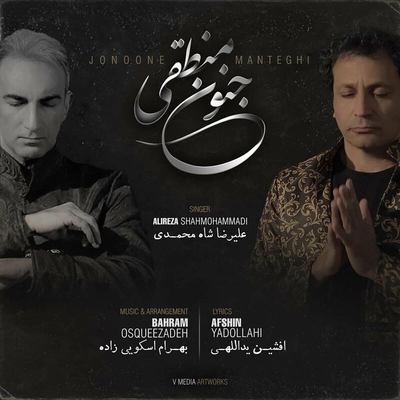علیرضا شاه محمدی جنون منطقی