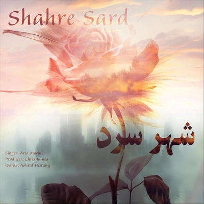 آریا معینی شهر سرد