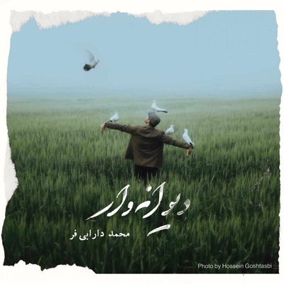محمد دارابی فر دیوانه وار