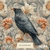 Blackbird