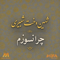 دکلمه شهین دخت شبیری چرا نسوزم