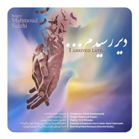 محمود صالحی دیر رسیدم
