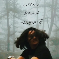 احمد رضا سنجانی برای مهرشاد شهیدی