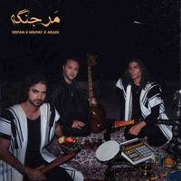 حامد نیک پی مر جنگه